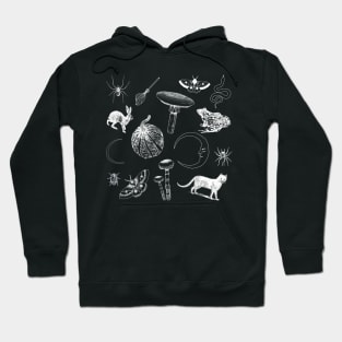 Witchy Things Hoodie